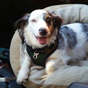 Meet your Posher, Nancy